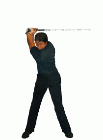 ゴルフスイング革命 世界標準の骨を使った直線運動ゴルフスイング